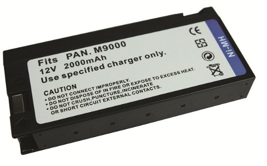 Panasonic VW-VBF2T battery