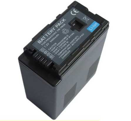 Panasonic VW-VBG6PPK battery