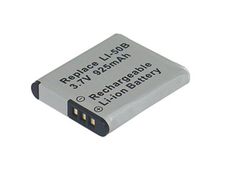 Olympus  9010 battery